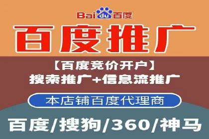 电商行业SEM运营的挑战与成功案例